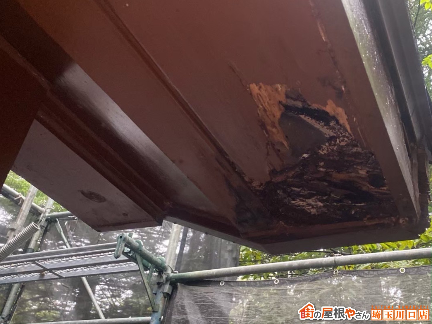 下から見た破風板　ボロボロ